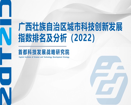 舔嗯【成果发布】广西壮族自治区城市科技创新发展指数排名及分析（2022）